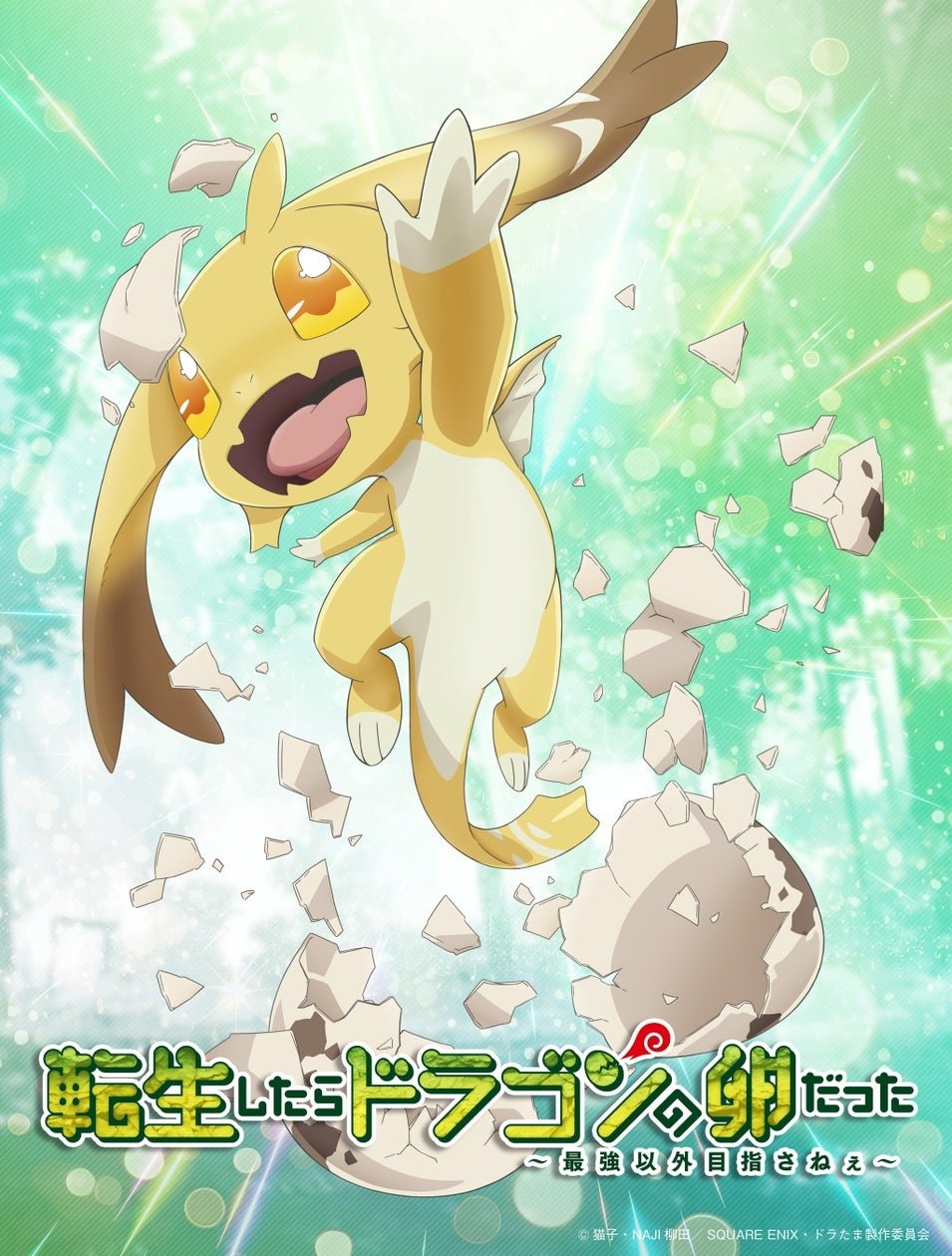 Reincarnated as a Dragon Hatchling (2026 Anime Series)
