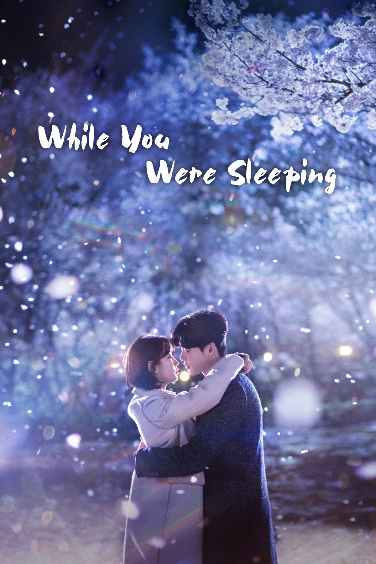 While You Were Sleeping (2017 Korean Drama)