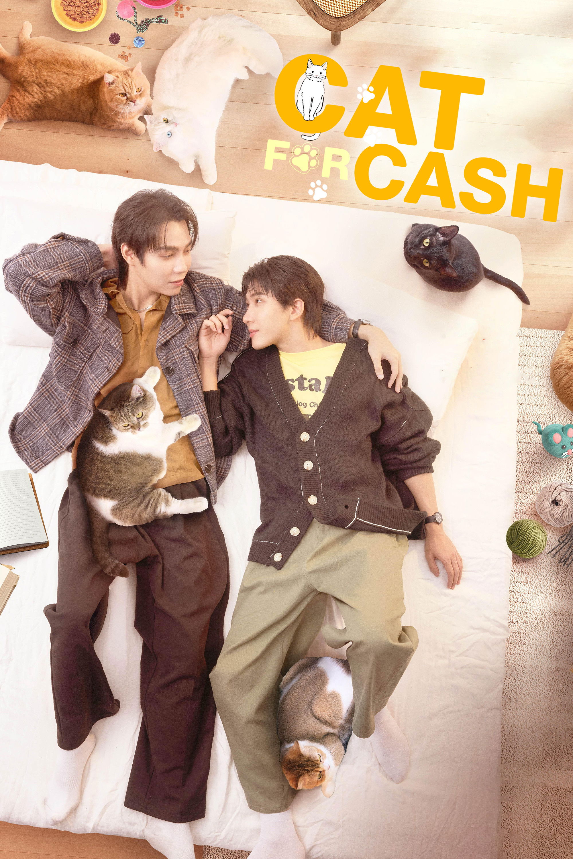 Cat for Cash (2026 Thai Drama)