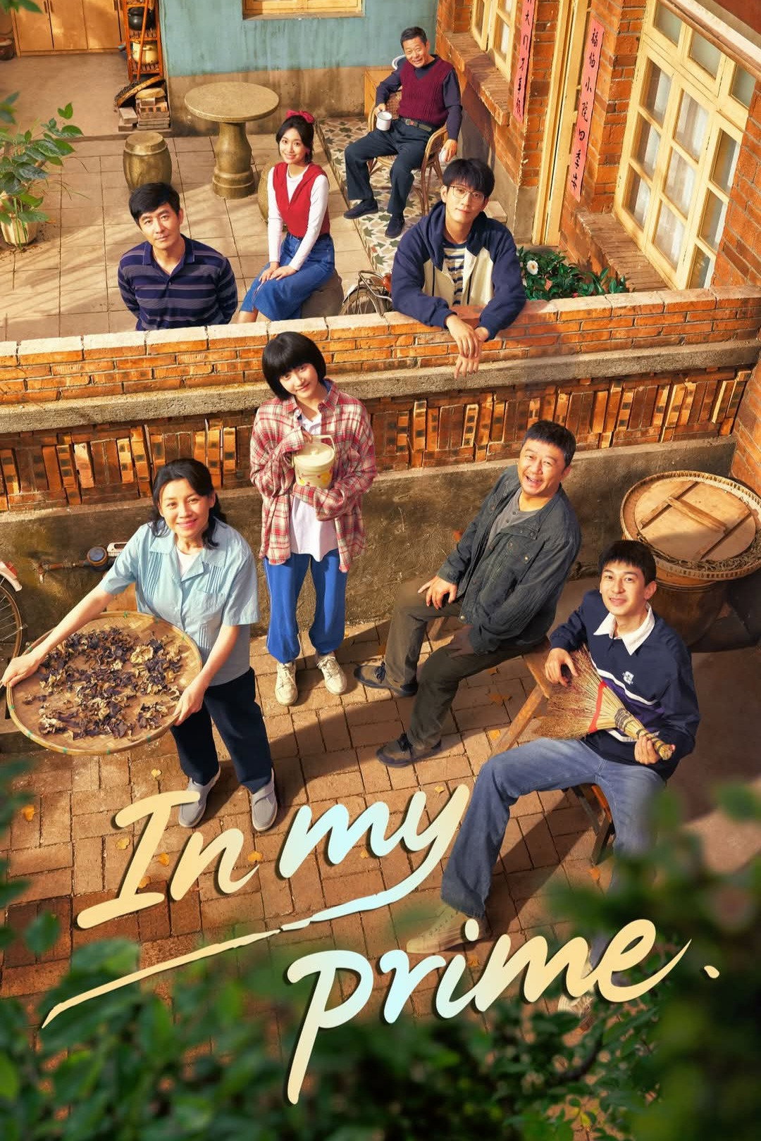 In My Prime (2026 Chinese Drama)