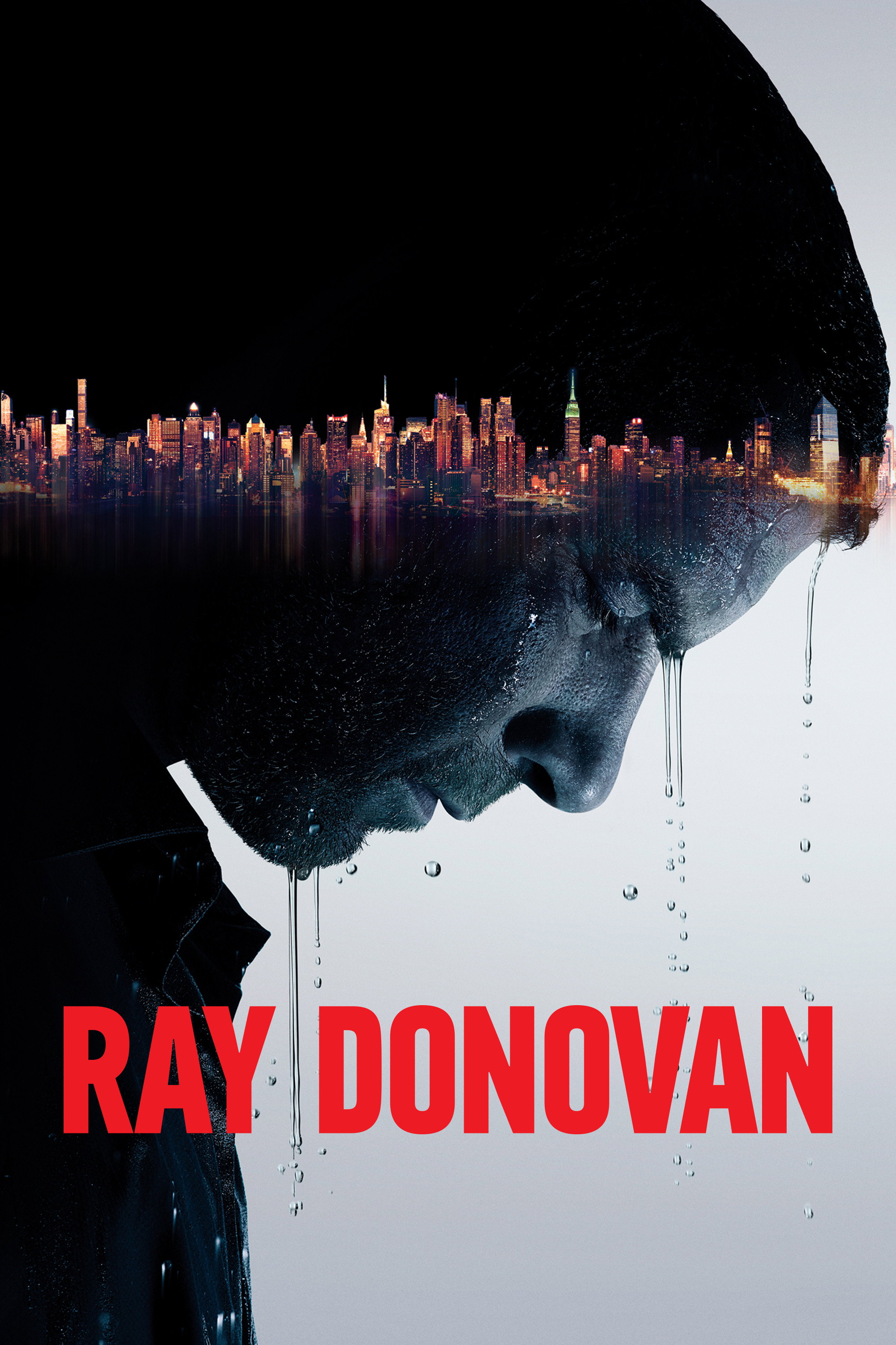 Ray Donovan (2013 TV Series)