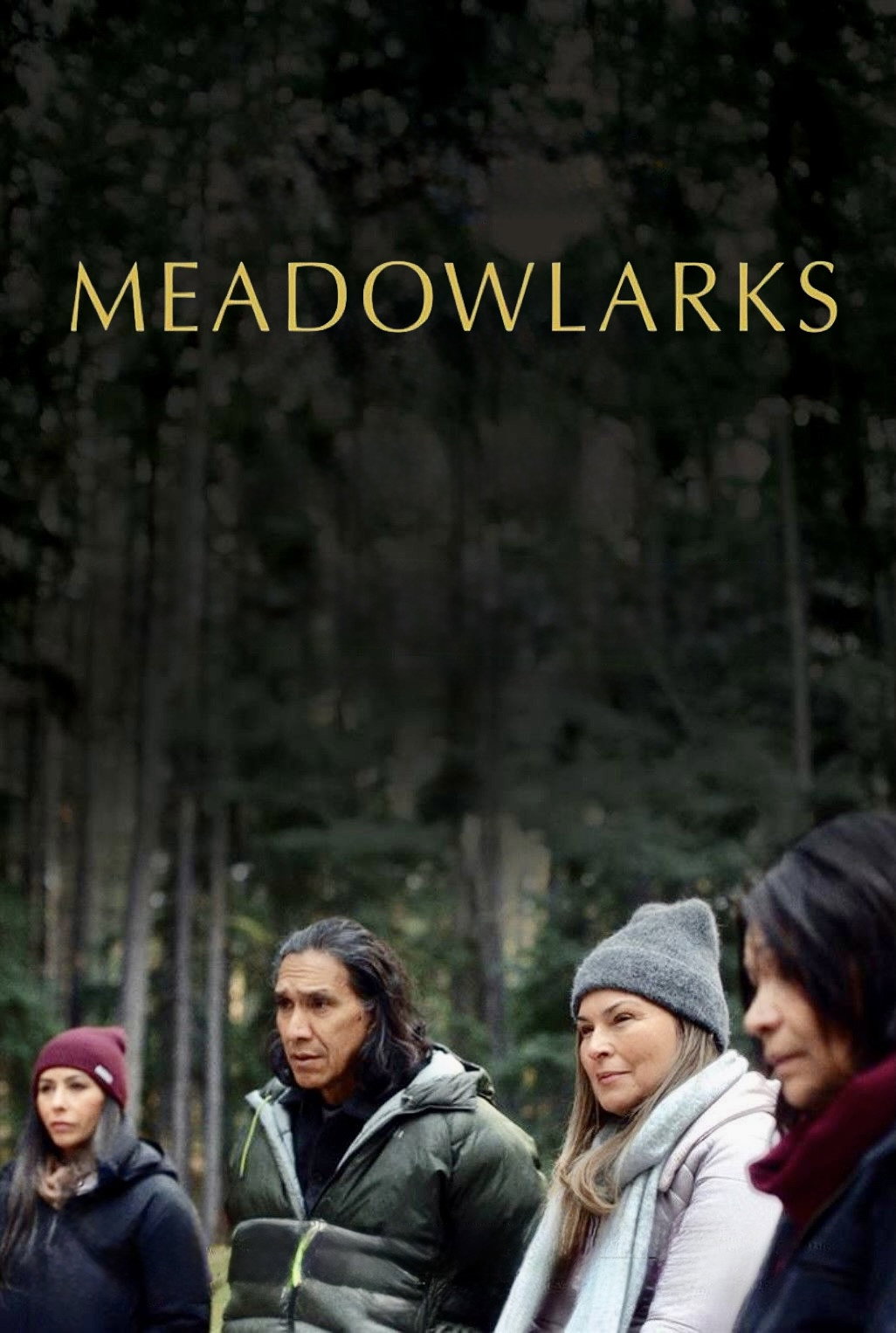 Meadowlarks (2025)