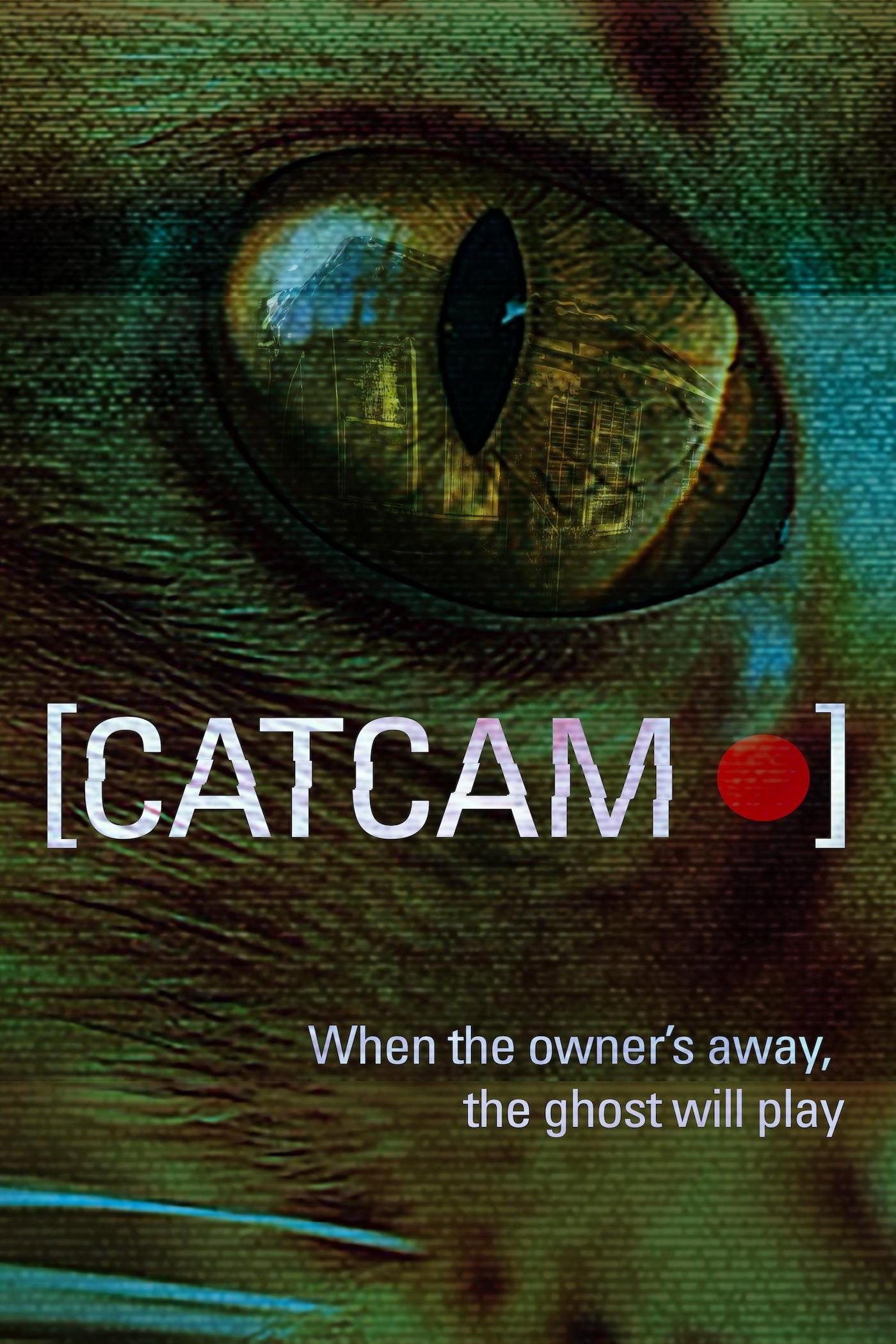Cat Cam (2026)