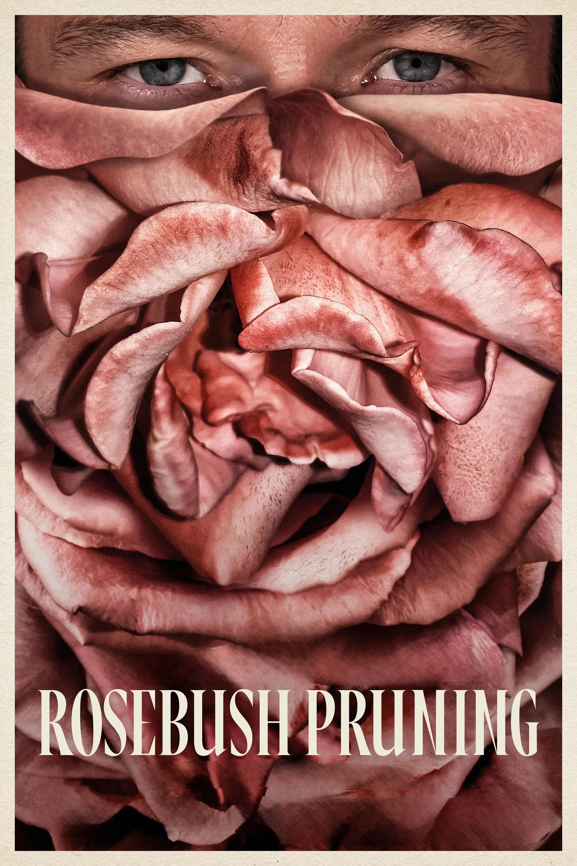 Rosebush Pruning (2026)