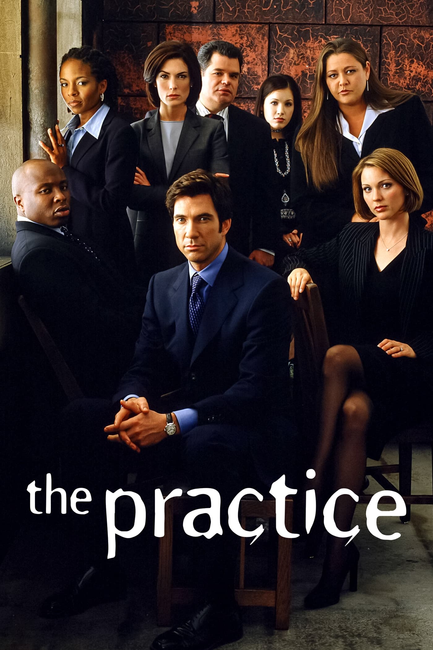 The Practice (1997 TV Series)
