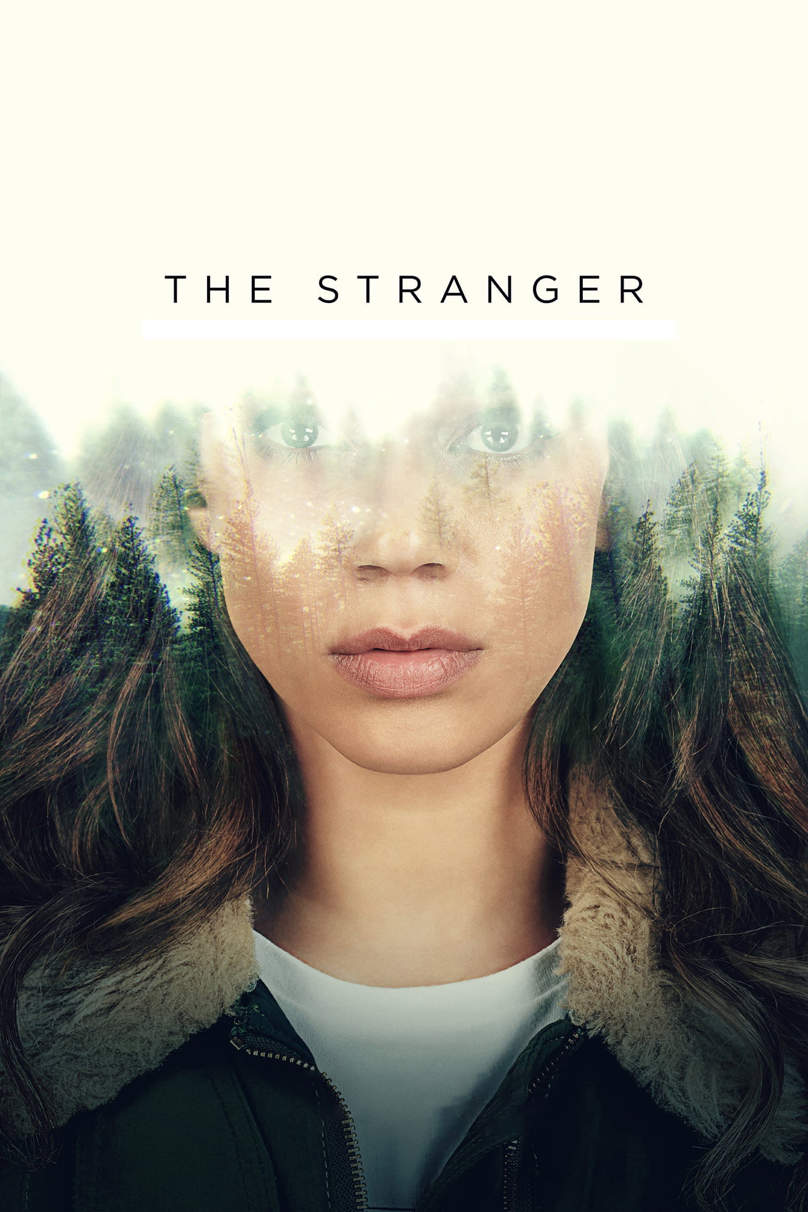 The Stranger (2020 TV Series)